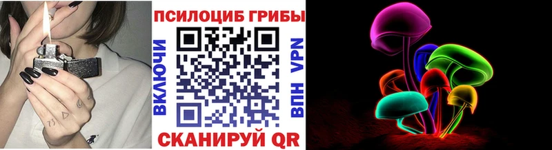 Купить закладки  Кировград  Галлюциногенные грибы GOLDEN TEACHER 